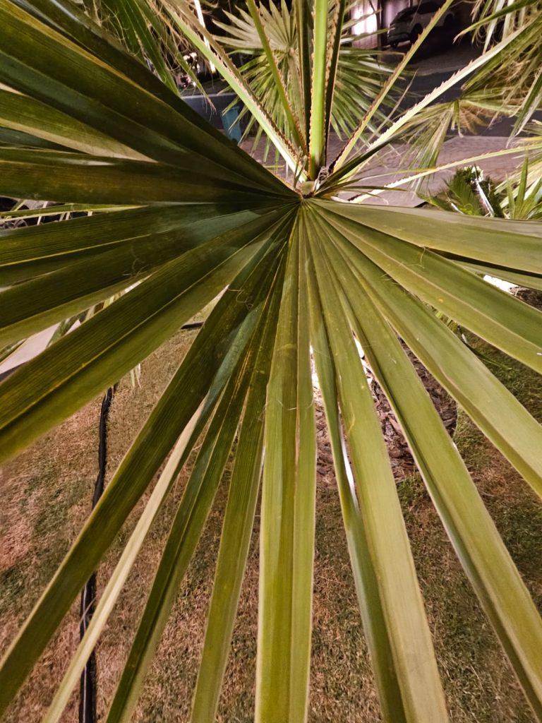 Casa no condomínio Florais Itália (13)