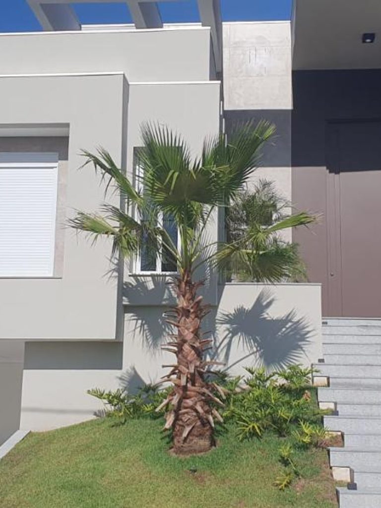 WhatsApp Image 2025-05-02 at 10.33.06 (4)